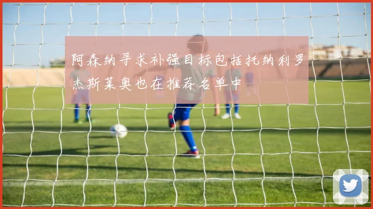 阿森纳寻求补强目标包括托纳利罗杰斯莱奥也在推荐名单中